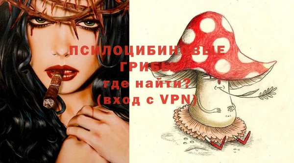 первитин Алексеевка