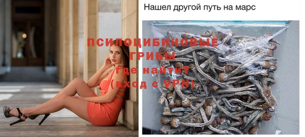 винт Алексин