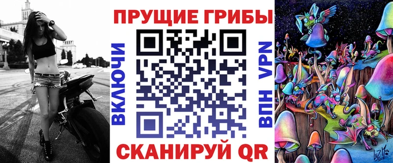 Галлюциногенные грибы мухоморы  купить наркоту  Волхов 